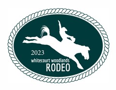 2023 Rodeo Logo
